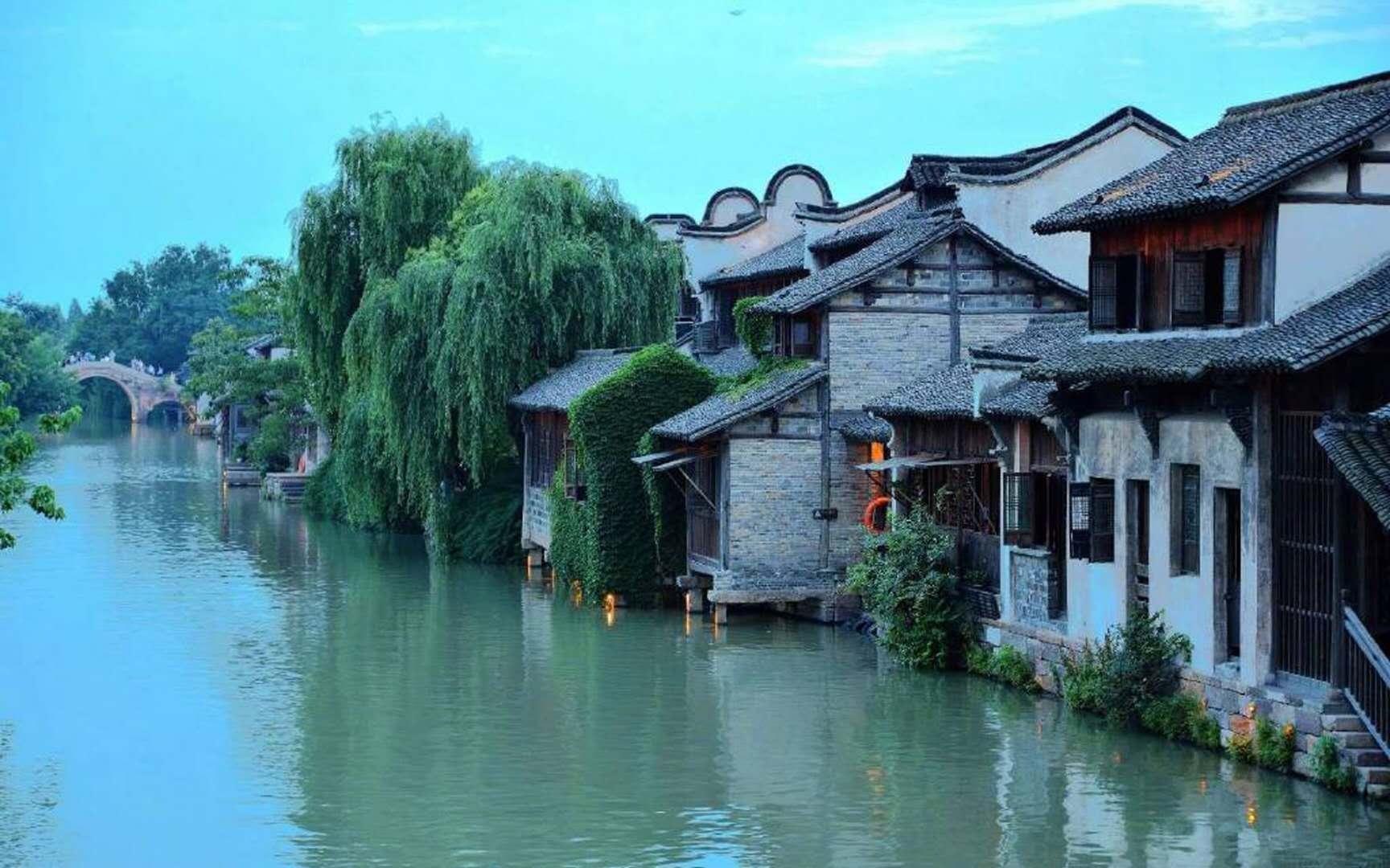 植物大战僵尸17